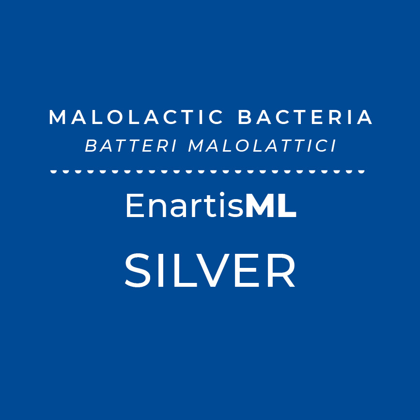 EnartisML SILVER