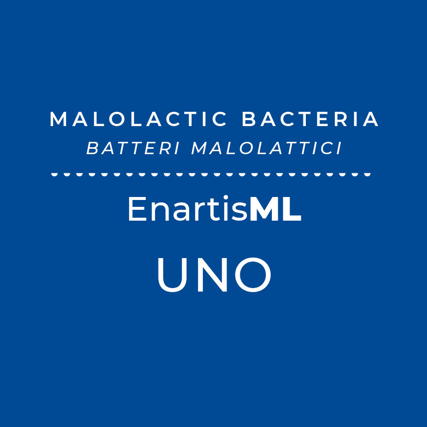 EnartisML UNO 2.5 hL - Discount Available