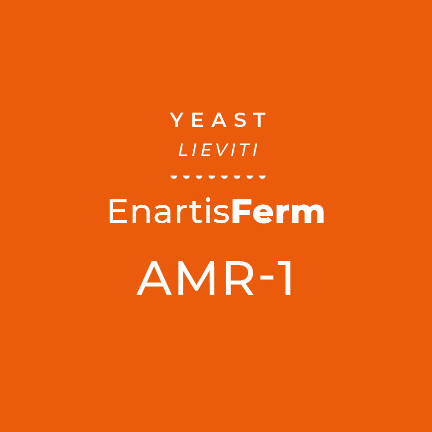 EnartisFerm AMR-1