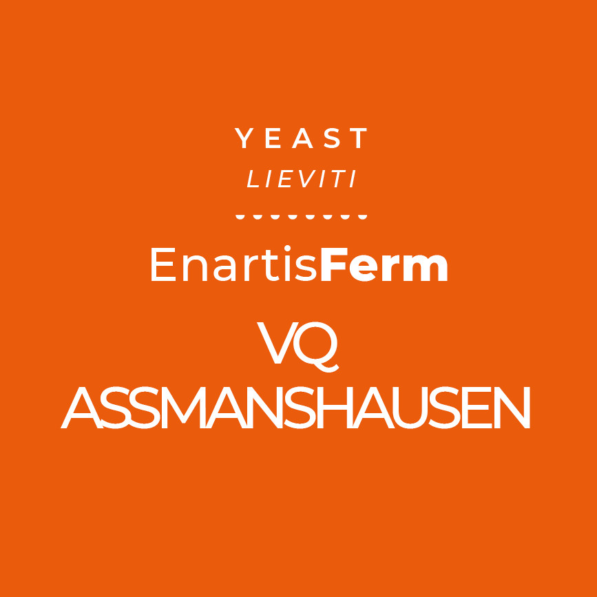 VQ Assmanshausen