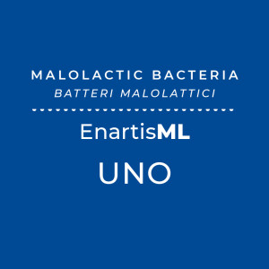 EnartisML UNO 2.5 hL - Discount Available