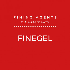 Finegel